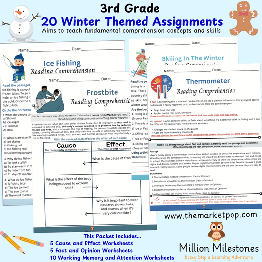 20 3rd Grade Reading Comprehension Worksheets - Winter - The Market Pop LLC